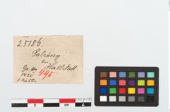 Etikett zu Bronzegehänge (NHMW-PRAE-025186)